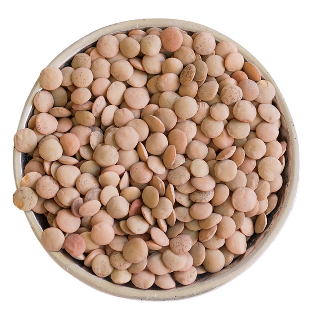 LENTILS