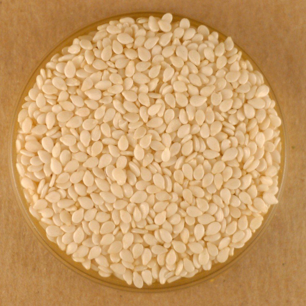 SESAME